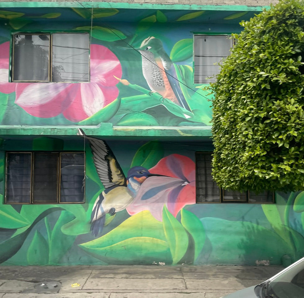 LiA make_sense americas: Week 1, Humanity