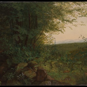 Go to the profile of Sebastian Verrelli