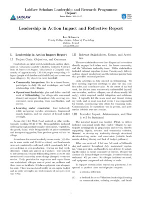 Leo Schwartz LIA REFLECTIVE REPORT