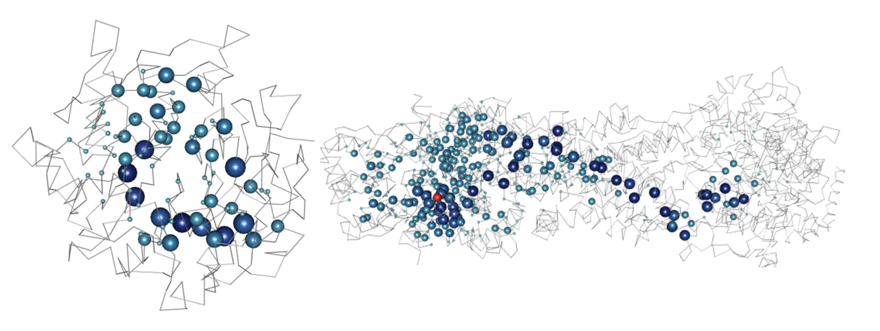 Structure-based network analysis predicts pathogenic variants in human proteins associated with inherited retinal disease