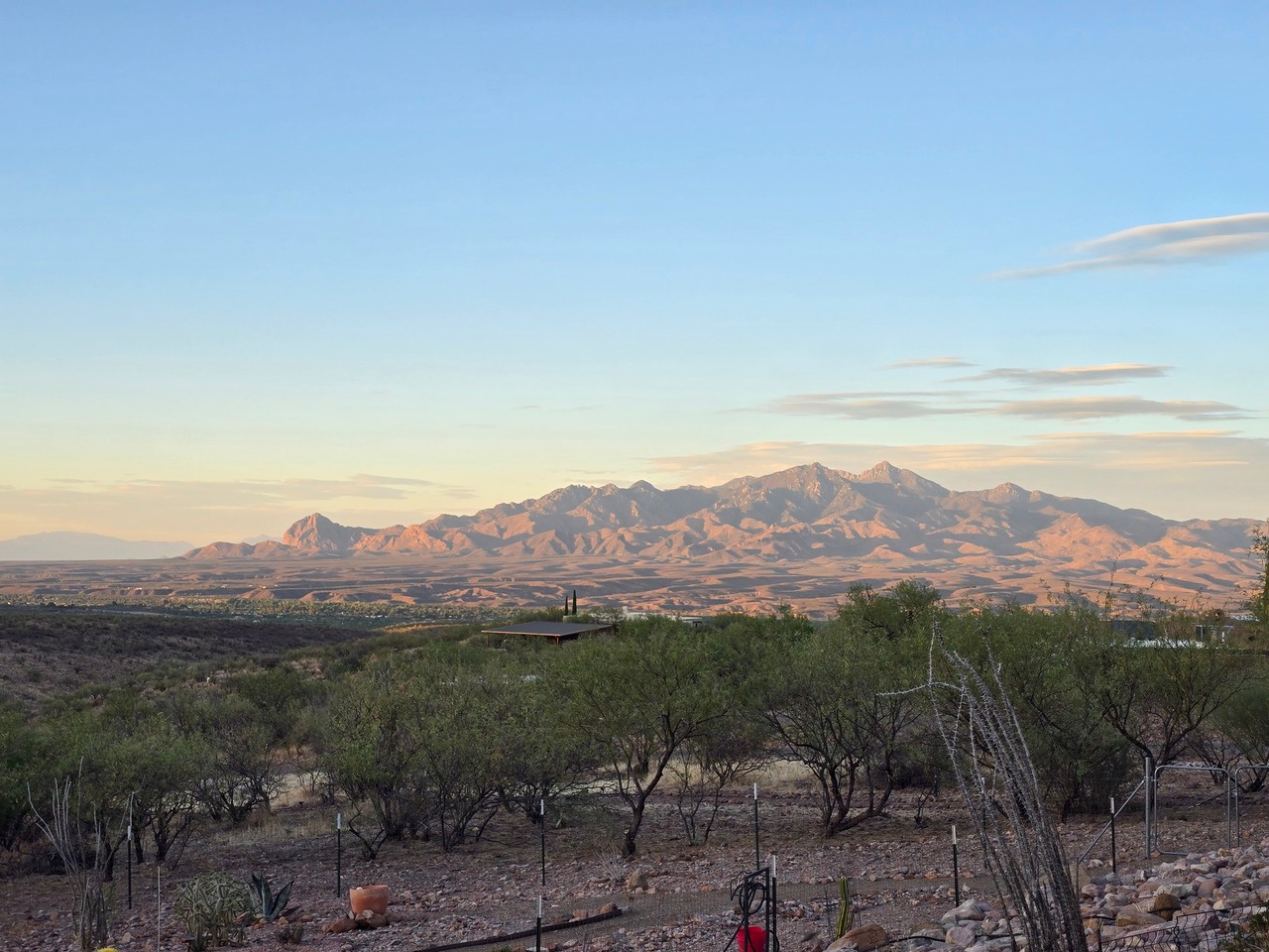 LiA Reflection Week 4: Perspectives and Practice