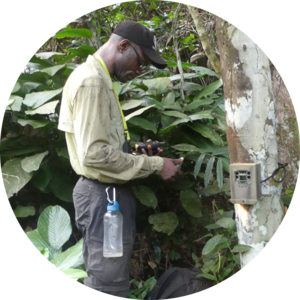 Go to the profile of Tsakala