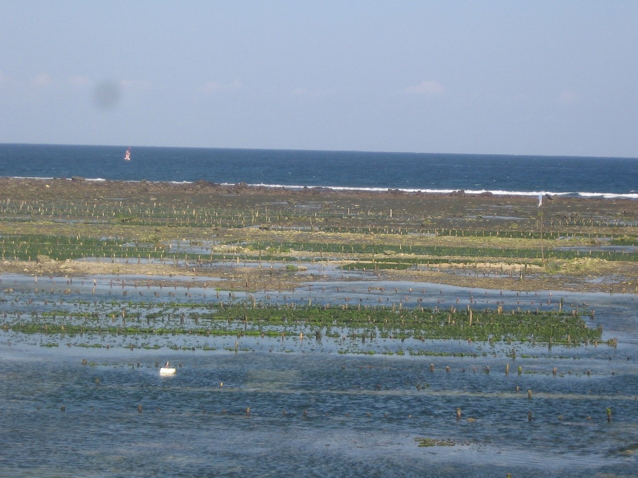 Paradise in danger: The unseen environmental disaster happening across Indonesia’s seas  