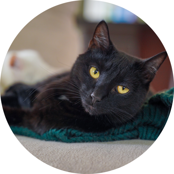 Go to the profile of Jennifer Escarge