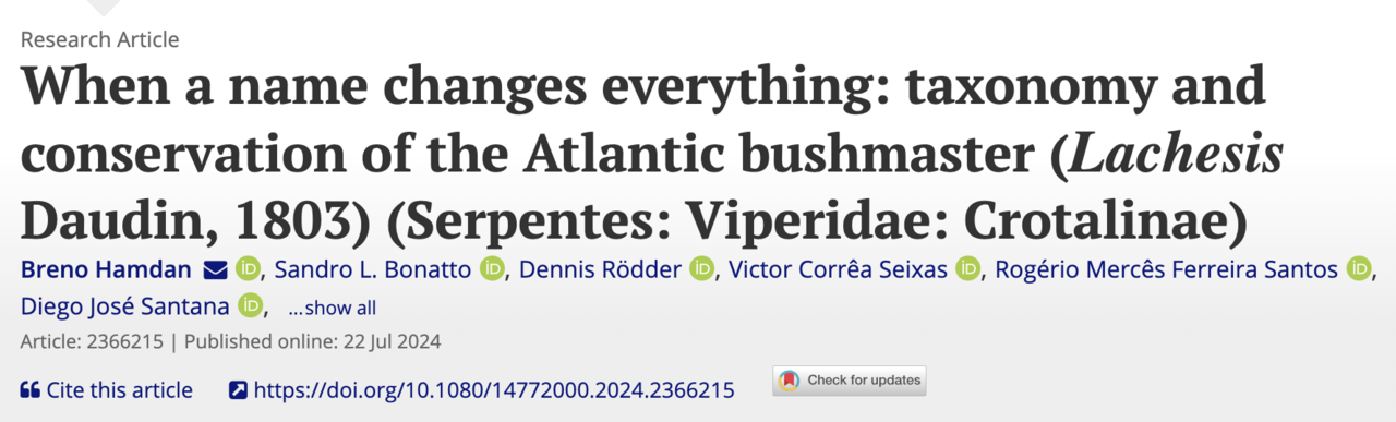 the largest venomous snake in the Americas (Lachesis spp.)