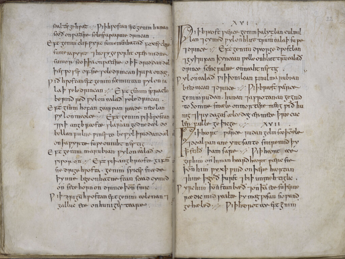 How were Pharmacy First conditions treated 1,000 years ago?