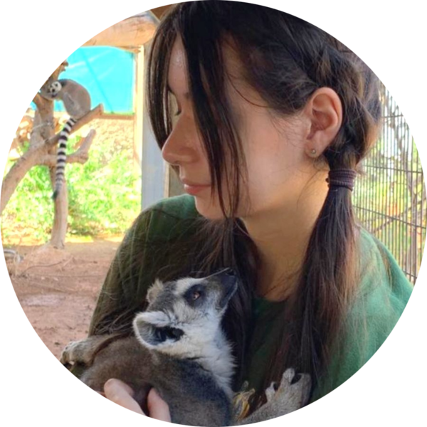 Go to the profile of Lina Syrimi