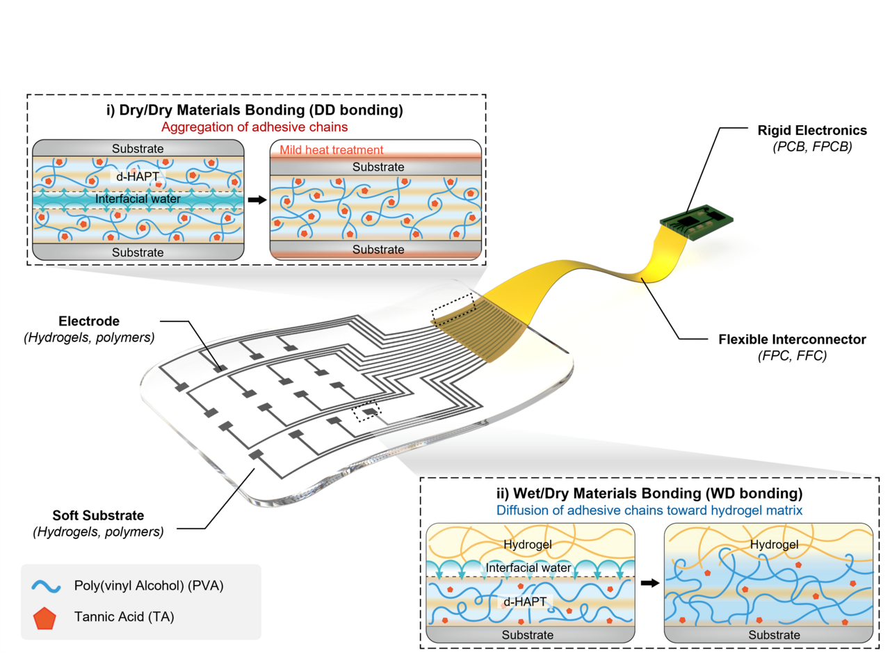 Innovative Hydrogel Adhesives for Seamless Integration of Soft Electronic Devices
