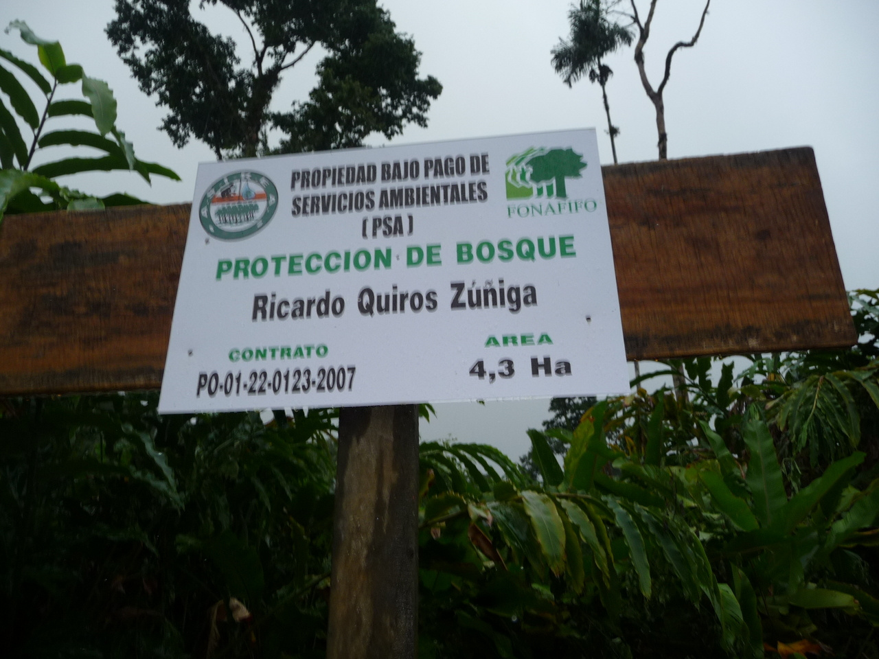 Are we letting new conservation brooms sweep properly? 