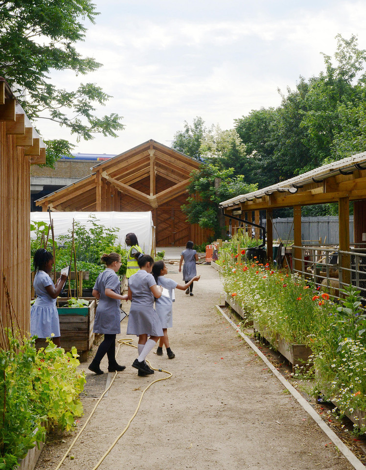 Using biophilia within the office and/or hosting meetings and retreats in natural settings