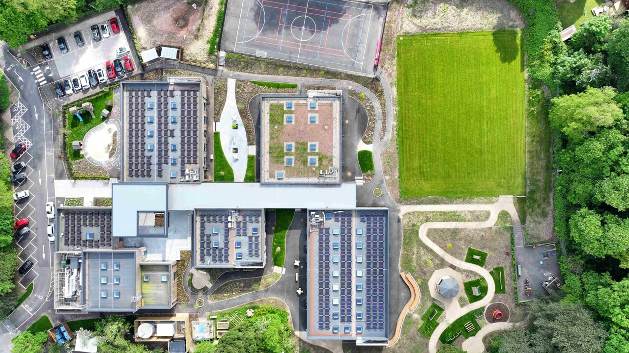 Hawkins\Brown: Being a good ancestor