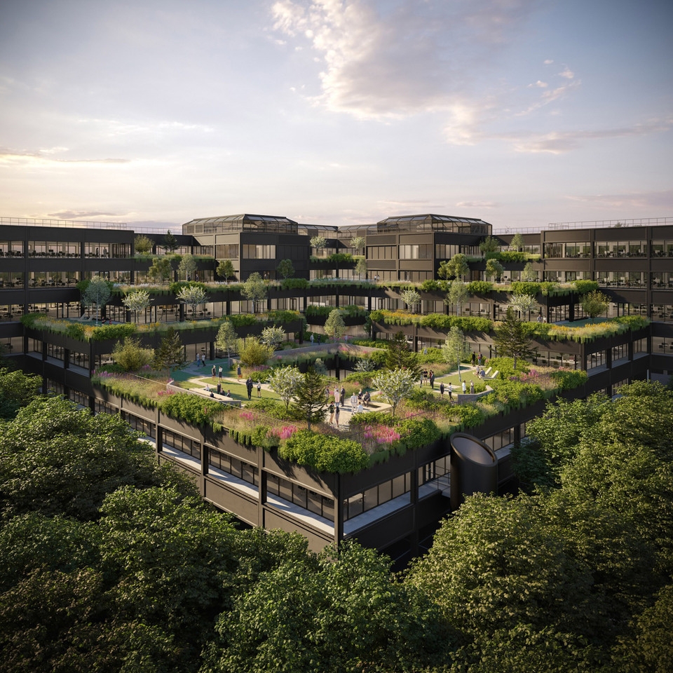 Studio Knight Stokoe: Being a good ancestor