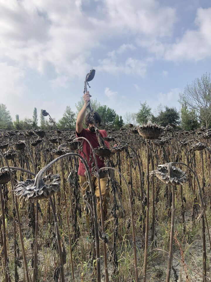 Assemble: Being a good ancestor