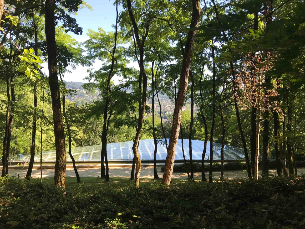 ritchie*studio: Being a good ancestor