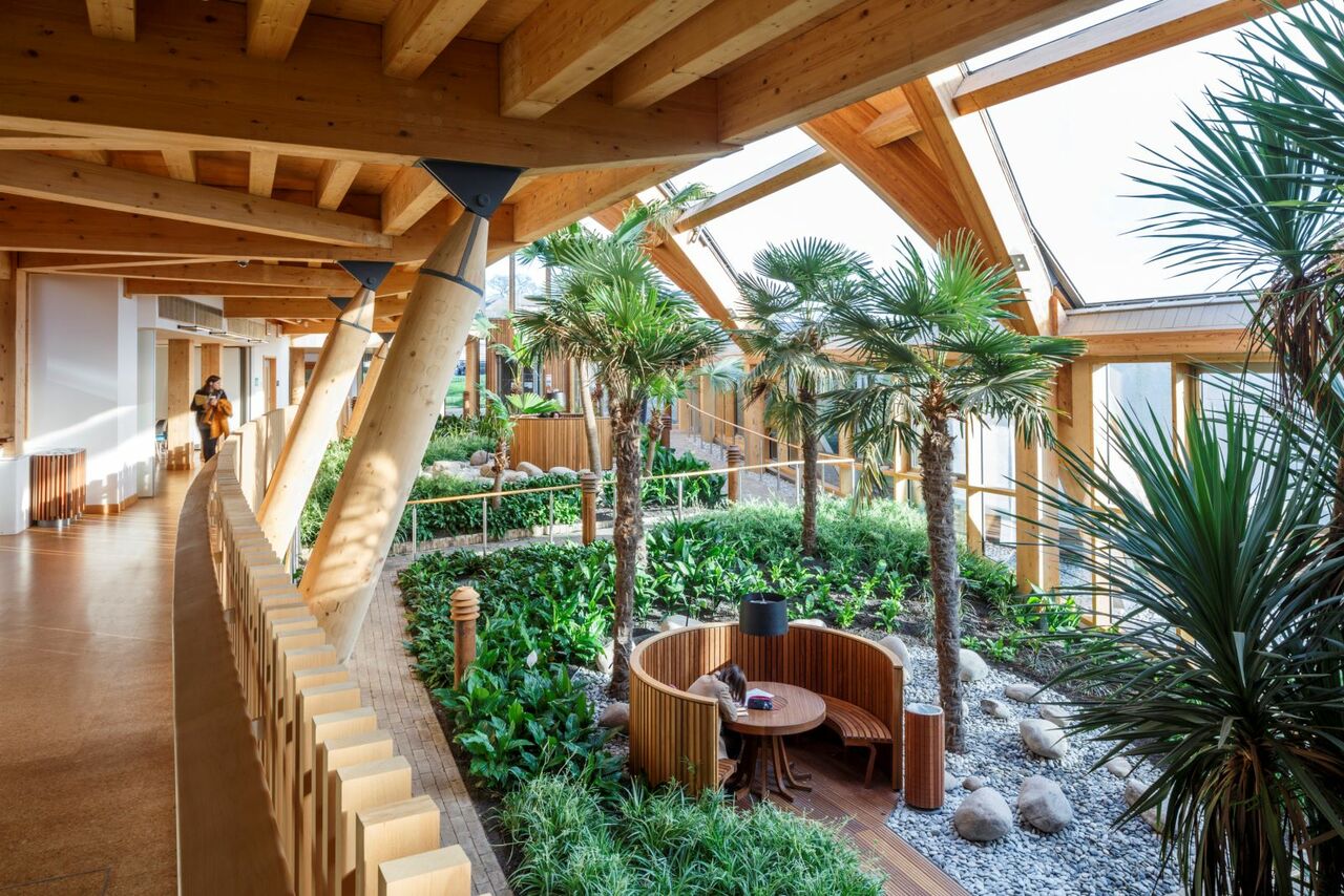 BDP: Being a good ancestor