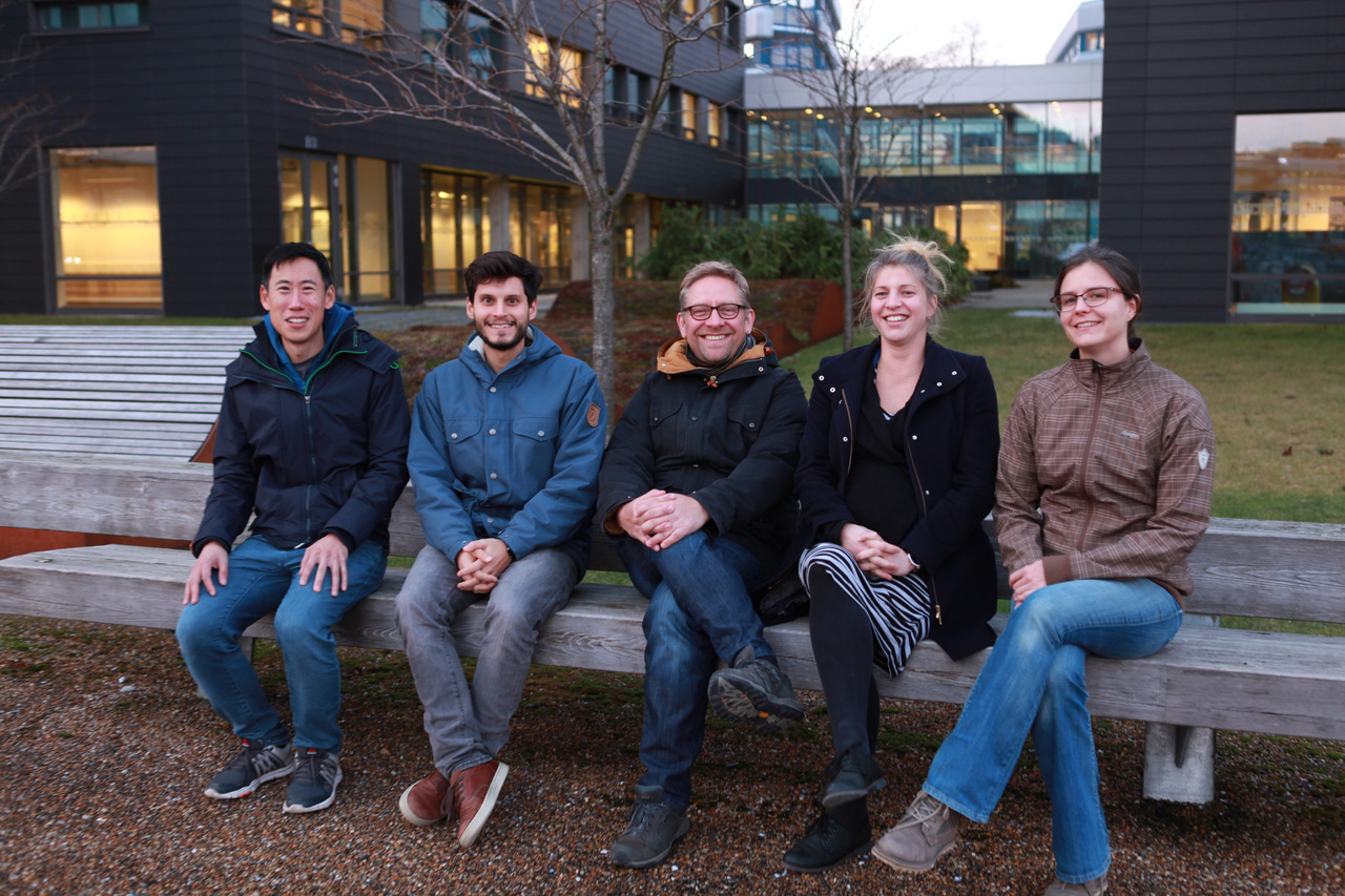 Animal diversity, neural diversity, and evolution