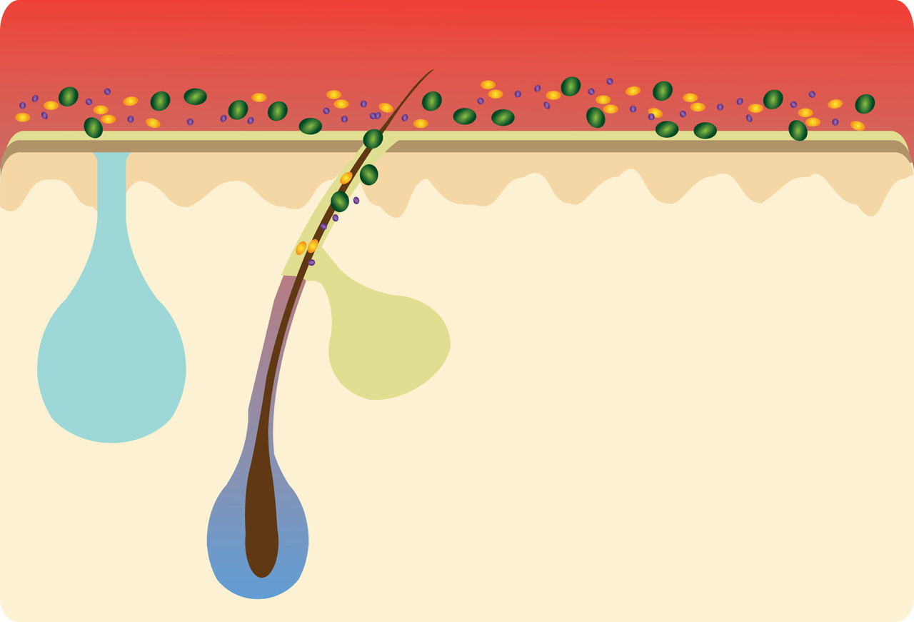 What's going on with all the microbes on our skin?