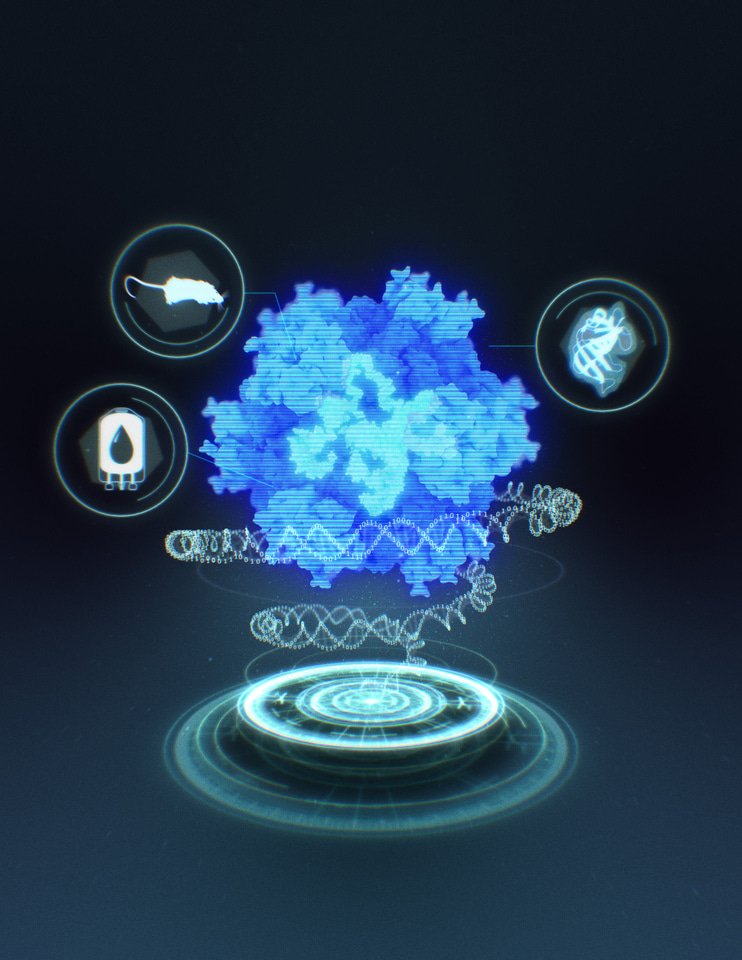 Computationally-designed synthetic protein assemblies that evolve like viruses