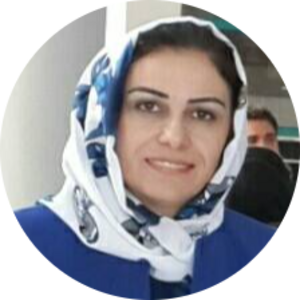 Go to the profile of Hamdia Mirkhan Ahmed