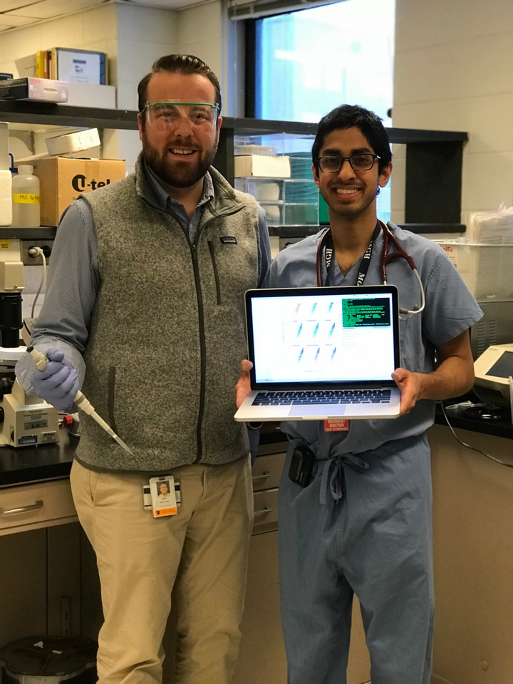How stable is the gut microbiome? 