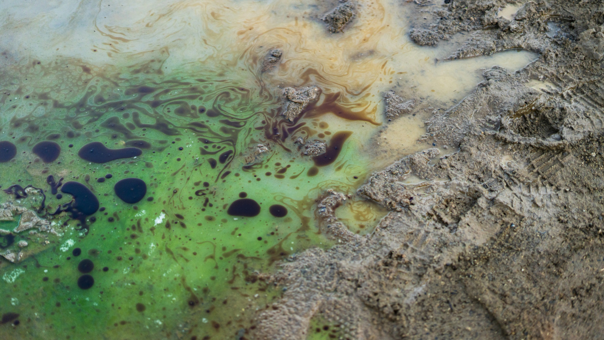 Call for papers: Environmental pollution in aquatic systems Collection