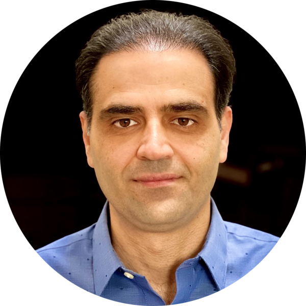 Go to the profile of Hadi Hosseini