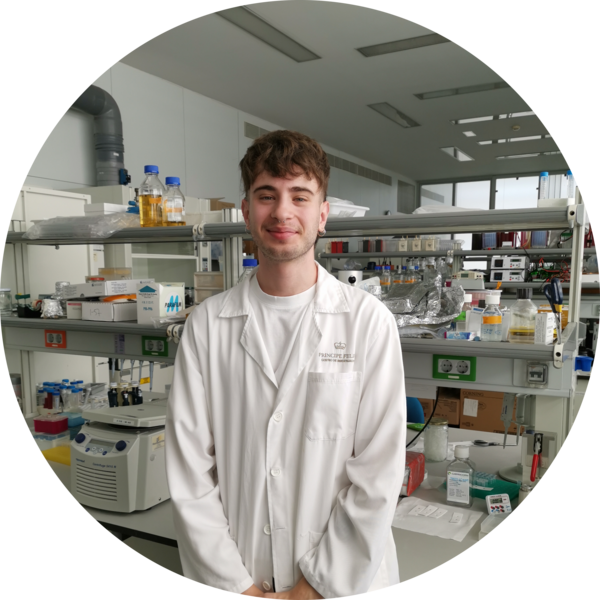 Go to the profile of Javier Antón Salvador