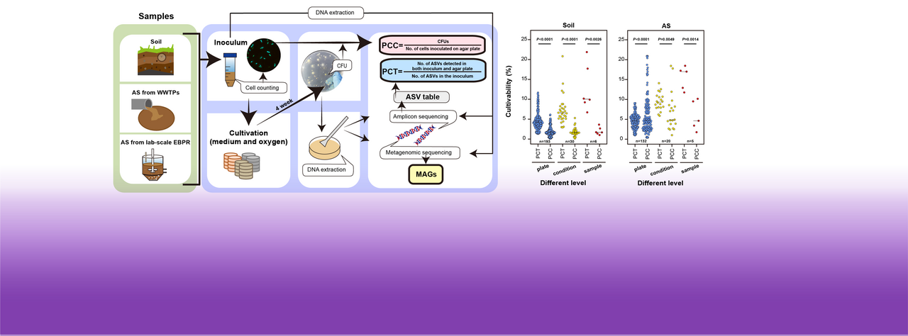 Sequencing-guided re-estimation and promotion of cultivability for environmental bacteria