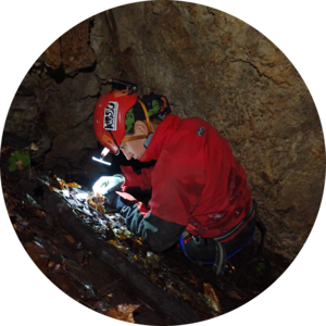 Go to the profile of Nikolina Kuharić