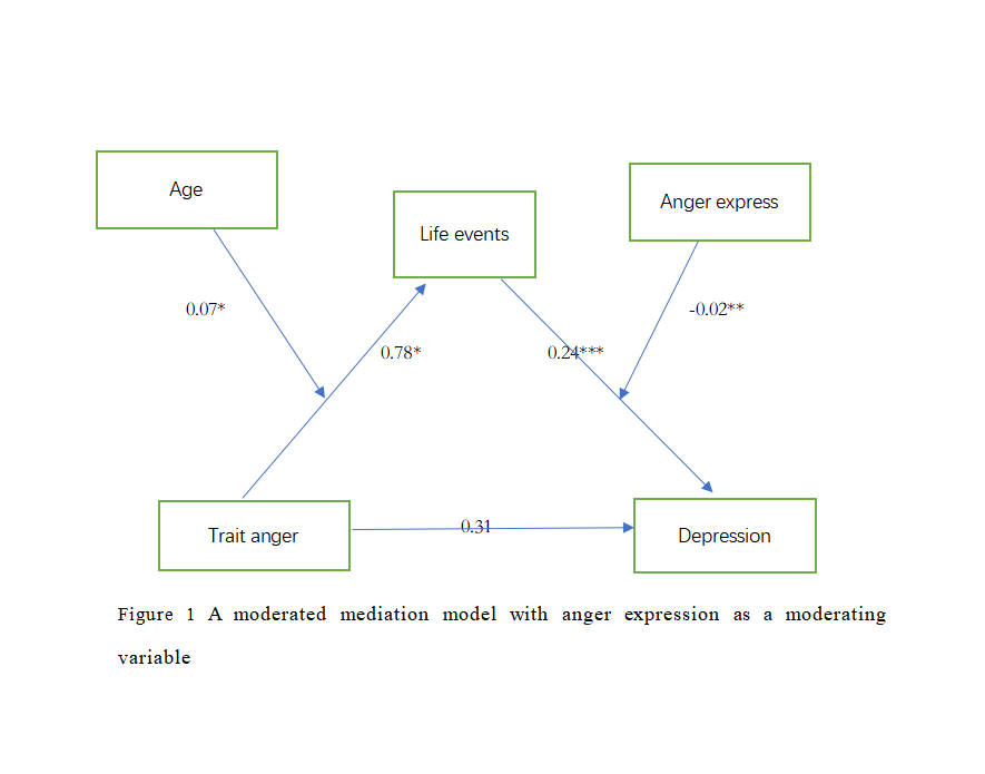 The impact of anger and age on depression