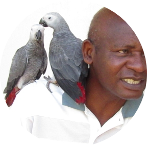 Go to the profile of Simon Tamungang