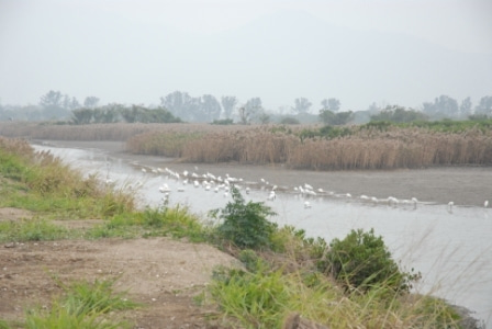 Food security under climatic extremes in the Asia-Pacific region