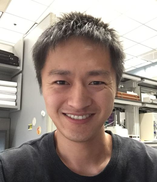 Go to the profile of Hongjie Xia