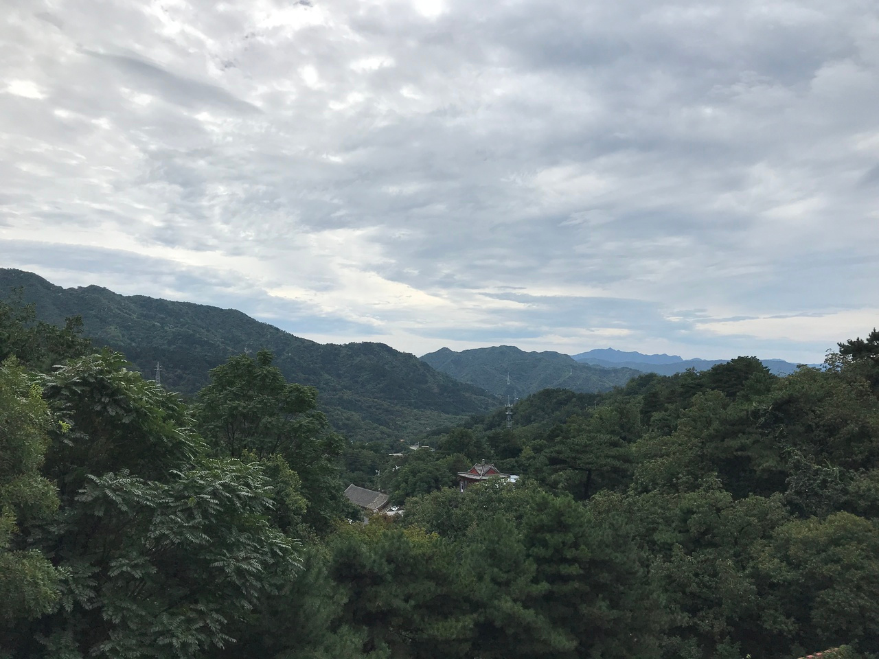 Biodiversity Conservation Internship