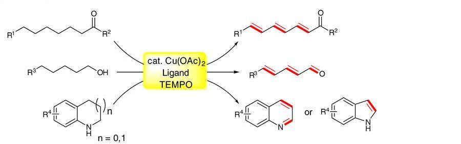 Journal Club | A simple route to polyenes.