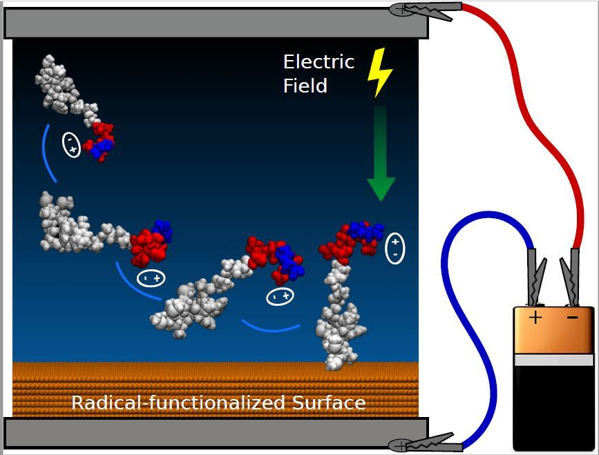 Journal Club | PEPTIDE CHEMISTRY: TAME THE PEPTIDE