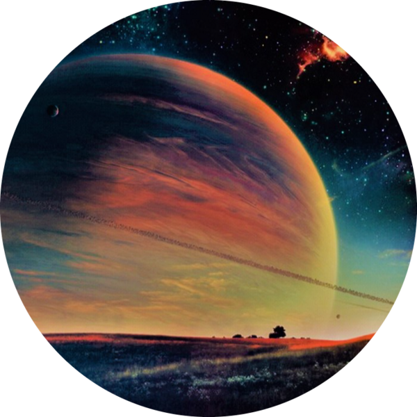 Go to the profile of Shiyu Wang