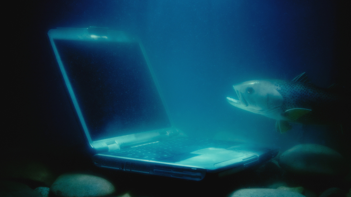 Call for papers: Underwater and underground wireless sensor networks