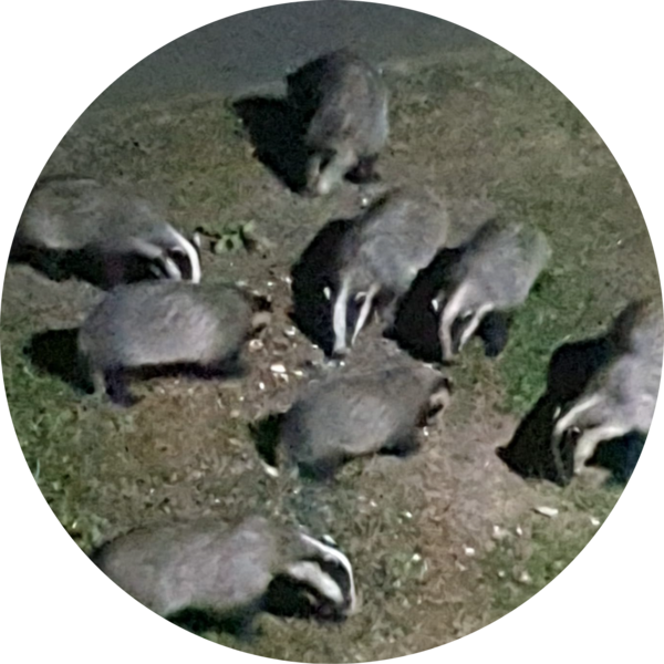 Go to the profile of Aviva Digby