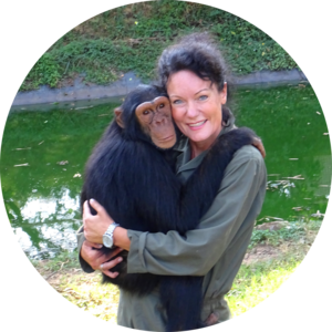 Go to the profile of Dagmar Sawistowsky