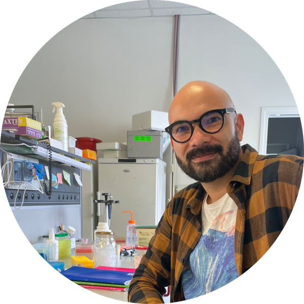 Go to the profile of Hugo Perdomo