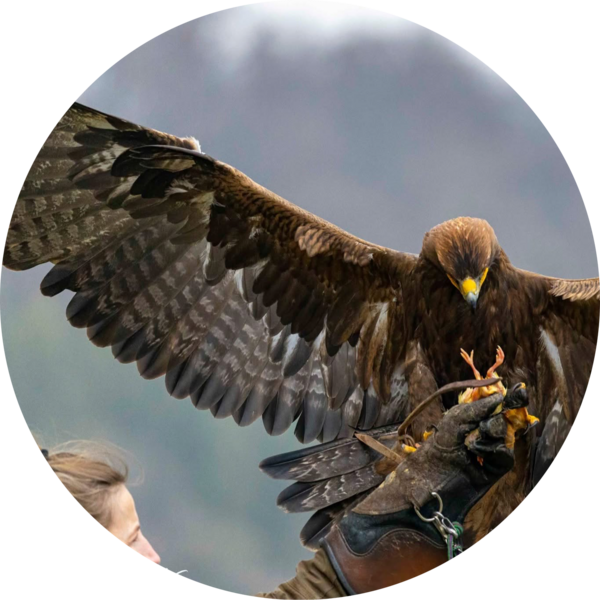 Go to the profile of Nathalie Denolf