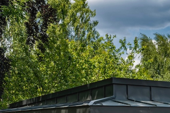 Rupert Cook and Socrates Miltiadou