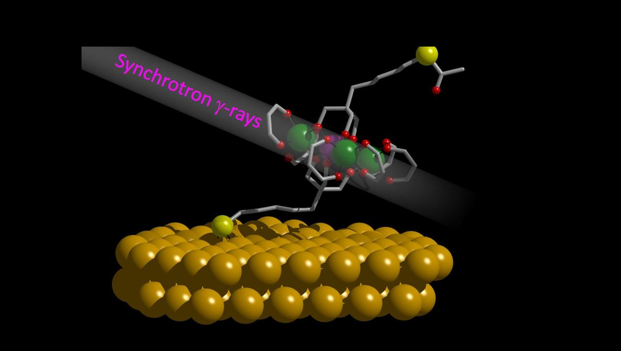 γ-Rays shine on a molecular monolayer