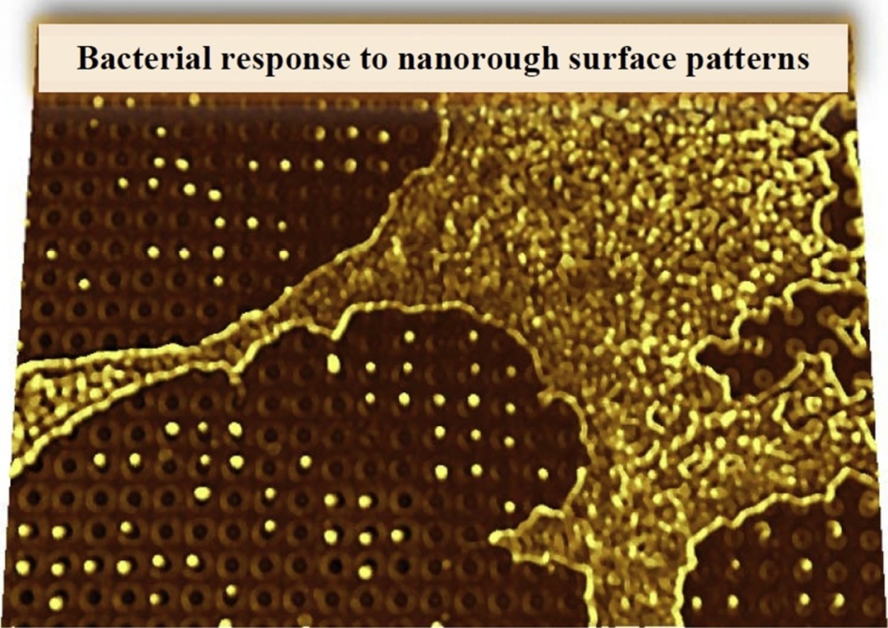 Bacterial response to spatially organized surface patterns.