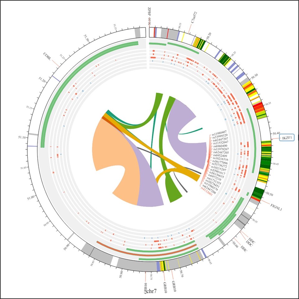 Investigating the impact of IKZF1 SNPs rs4132601 and rs11978267 on acute lymphoblastic leukemia: a comprehensive meta-analysis
