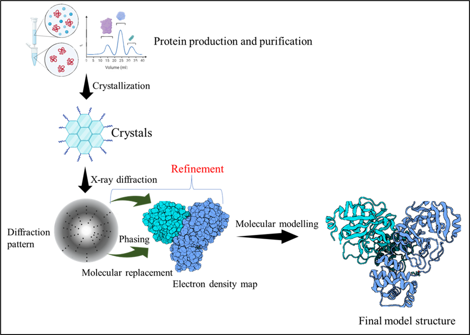 The Use of X-Ray Crystallography in the Analysis of a Variety of Protein–Lipid Complexes. In: Patel, A. (eds) Biochemical Techniques for Analyzing Protein-Lipid Interactions