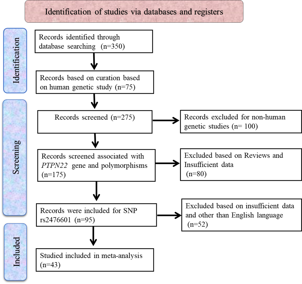 Deciphering autoimmune susceptibility: a meta-analysis of PTPN22 gene variants