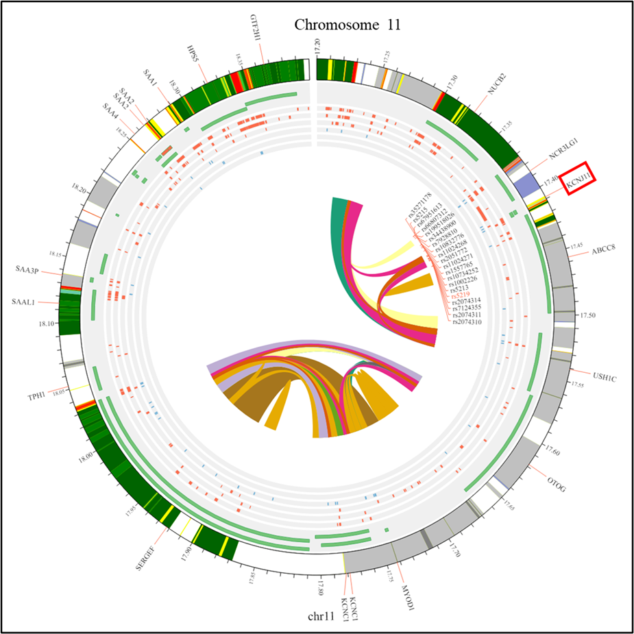 Association between KCNJ11 rs5219 polymorphisms and gestational diabetes mellitus: A meta-analysis