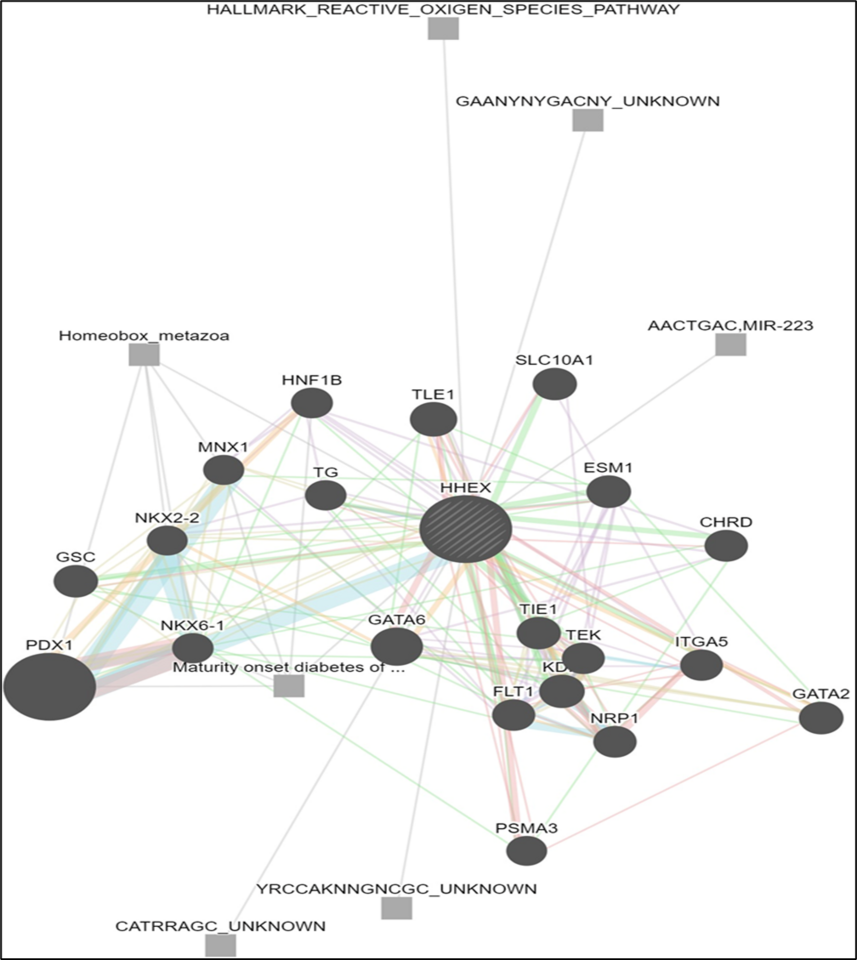 The association of rs1111875 in HHEX with type 2 diabetes: A comprehensive meta-analysis